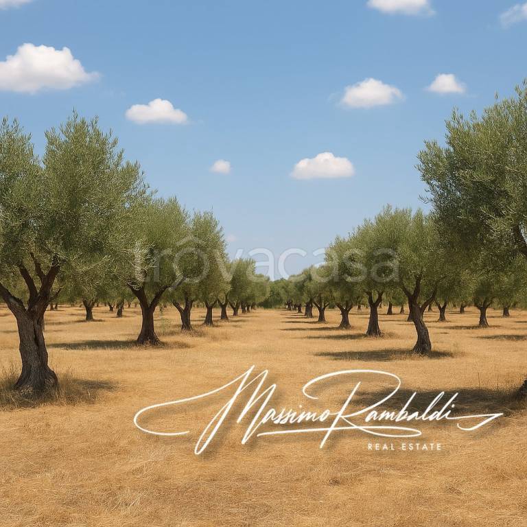 immagine annuncio 1 di 6