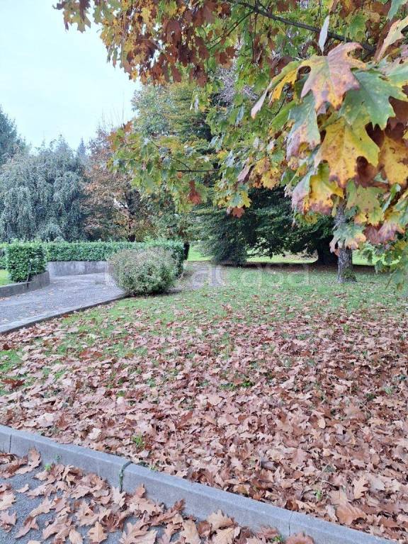 immagine annuncio 12 di 13