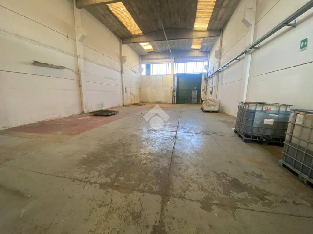 immagine annuncio 1 di 8