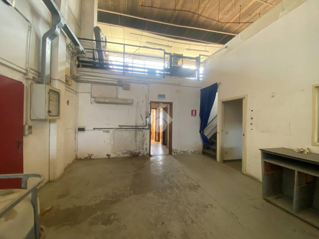 immagine annuncio 3 di 8