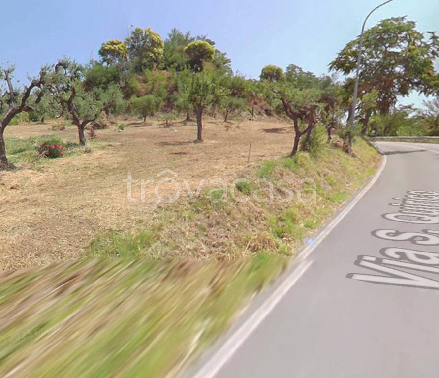 immagine annuncio 3 di 14