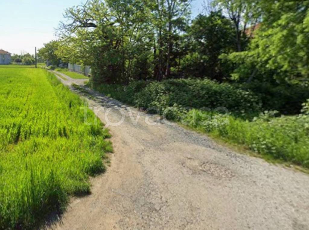 immagine annuncio 3 di 12