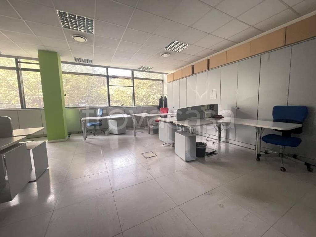 immagine annuncio 5 di 11