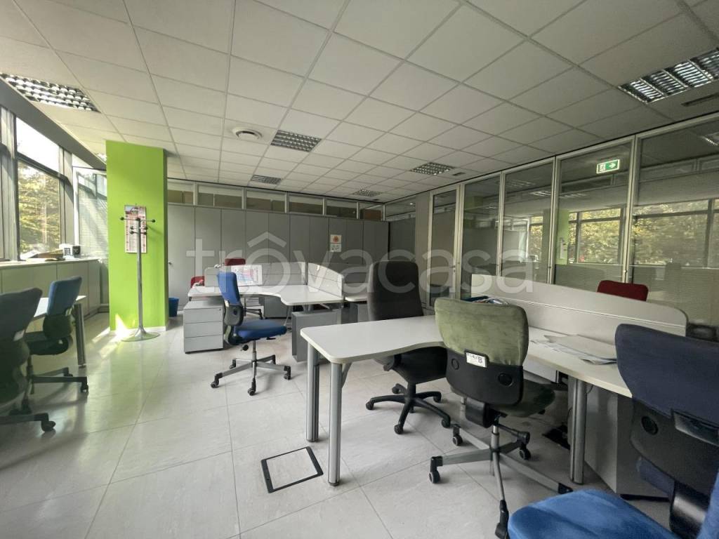 immagine annuncio 6 di 11