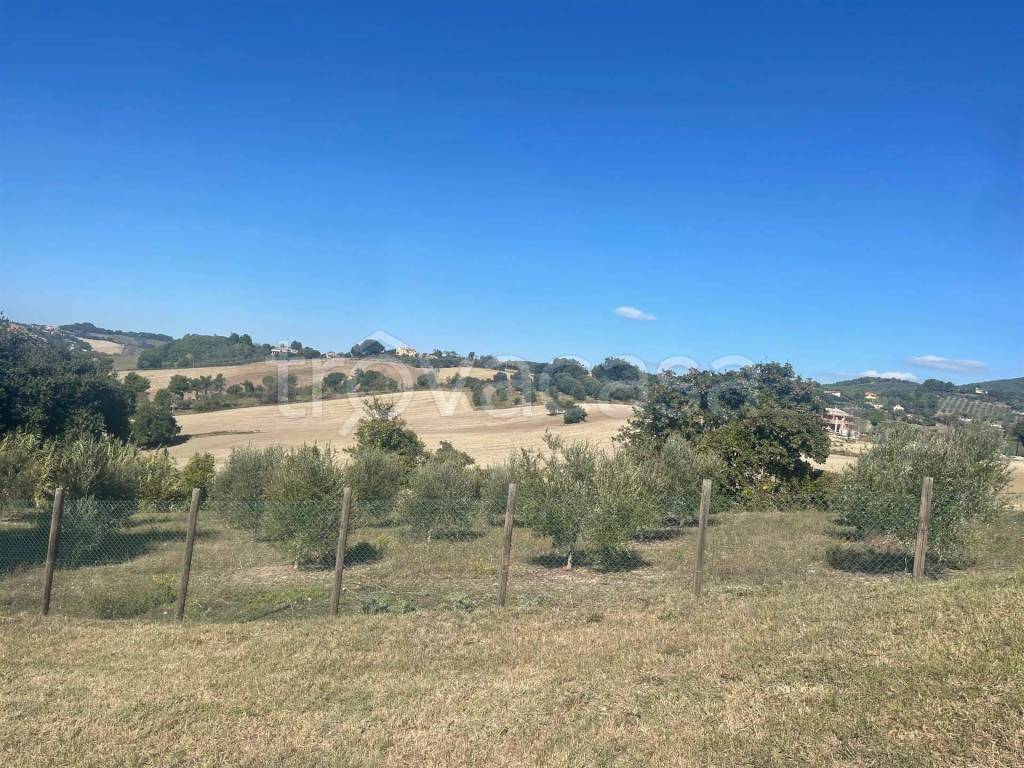 immagine annuncio 11 di 12