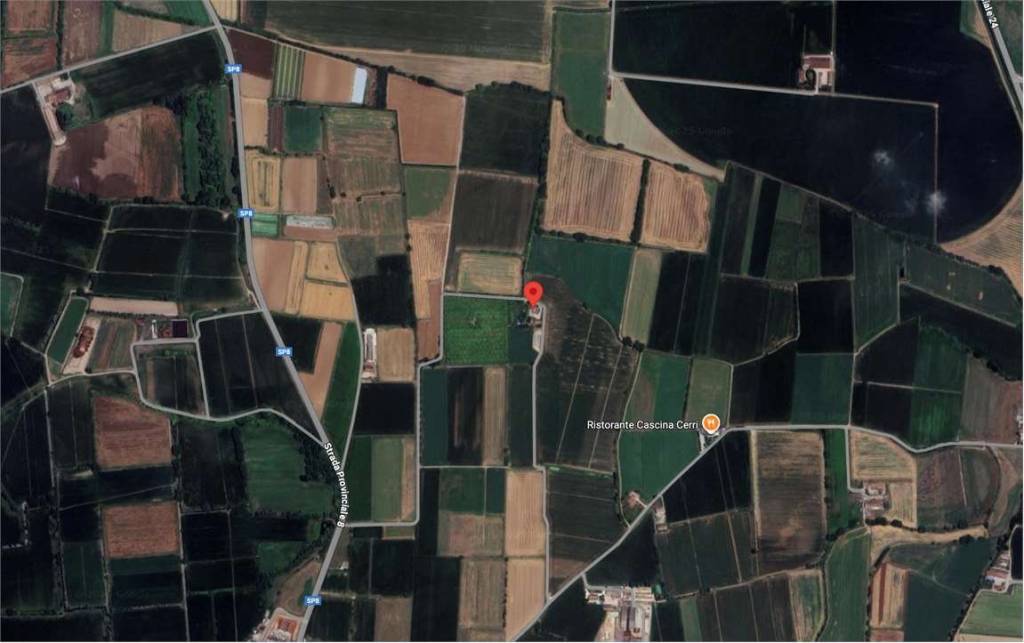 immagine annuncio 6 di 15