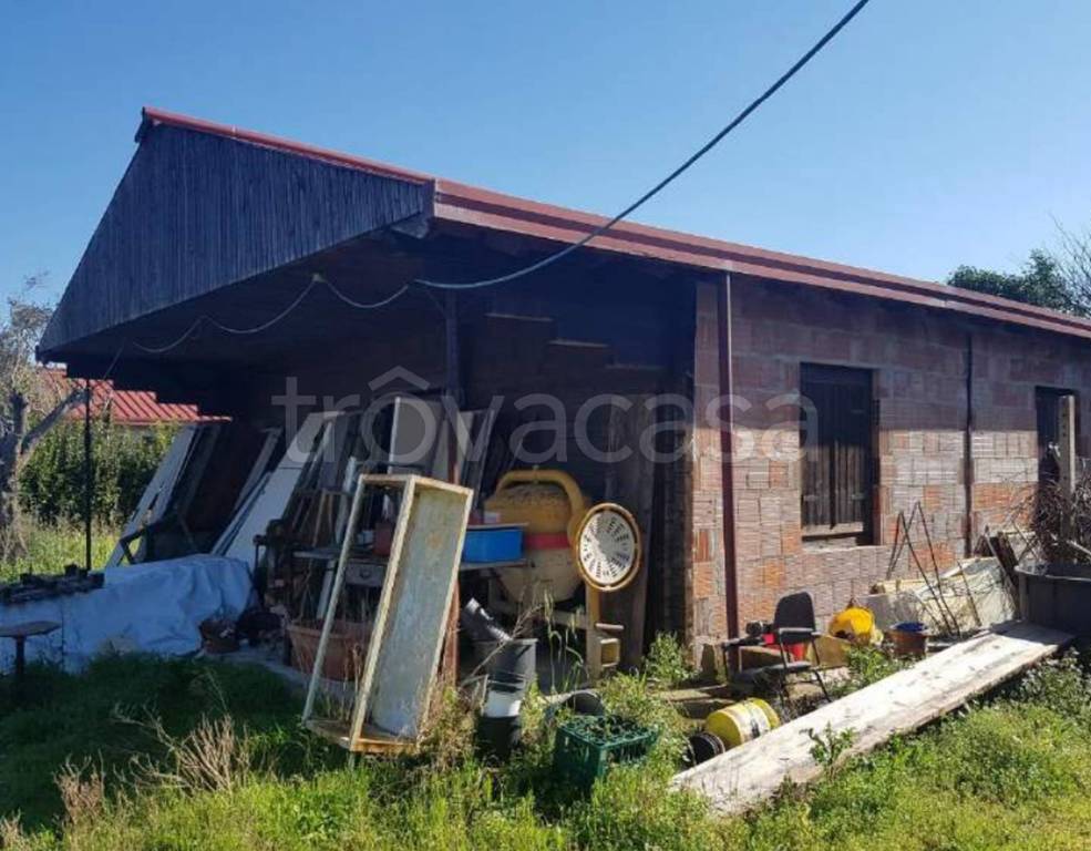 immagine annuncio 1 di 14