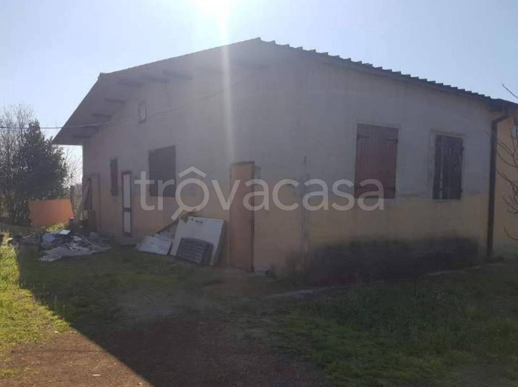 immagine annuncio 4 di 14