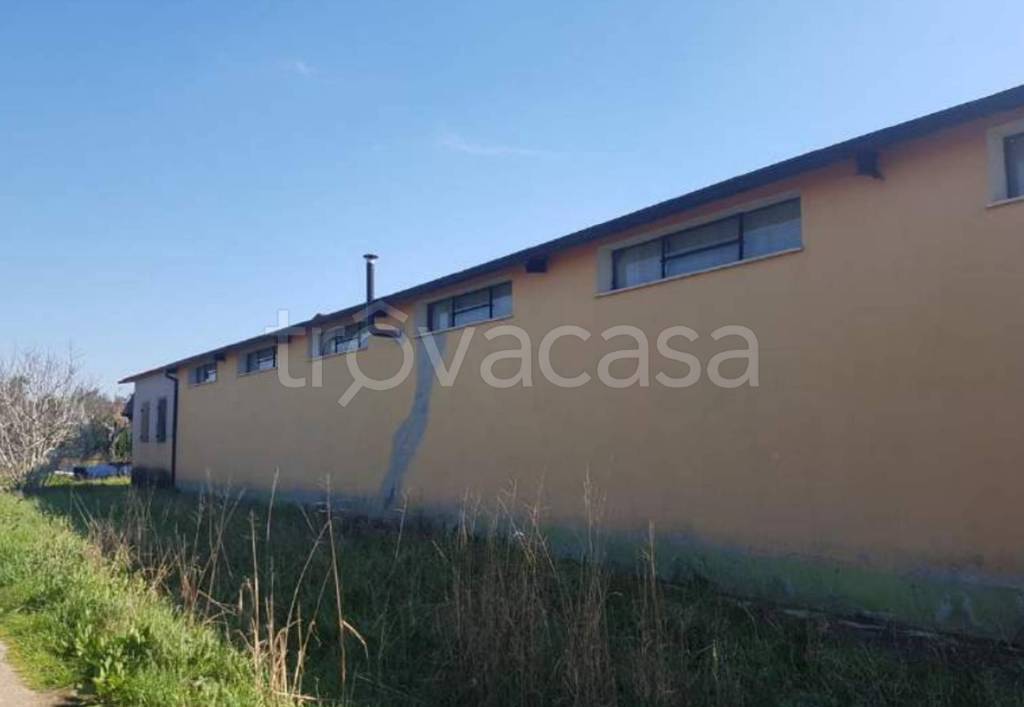 immagine annuncio 5 di 14