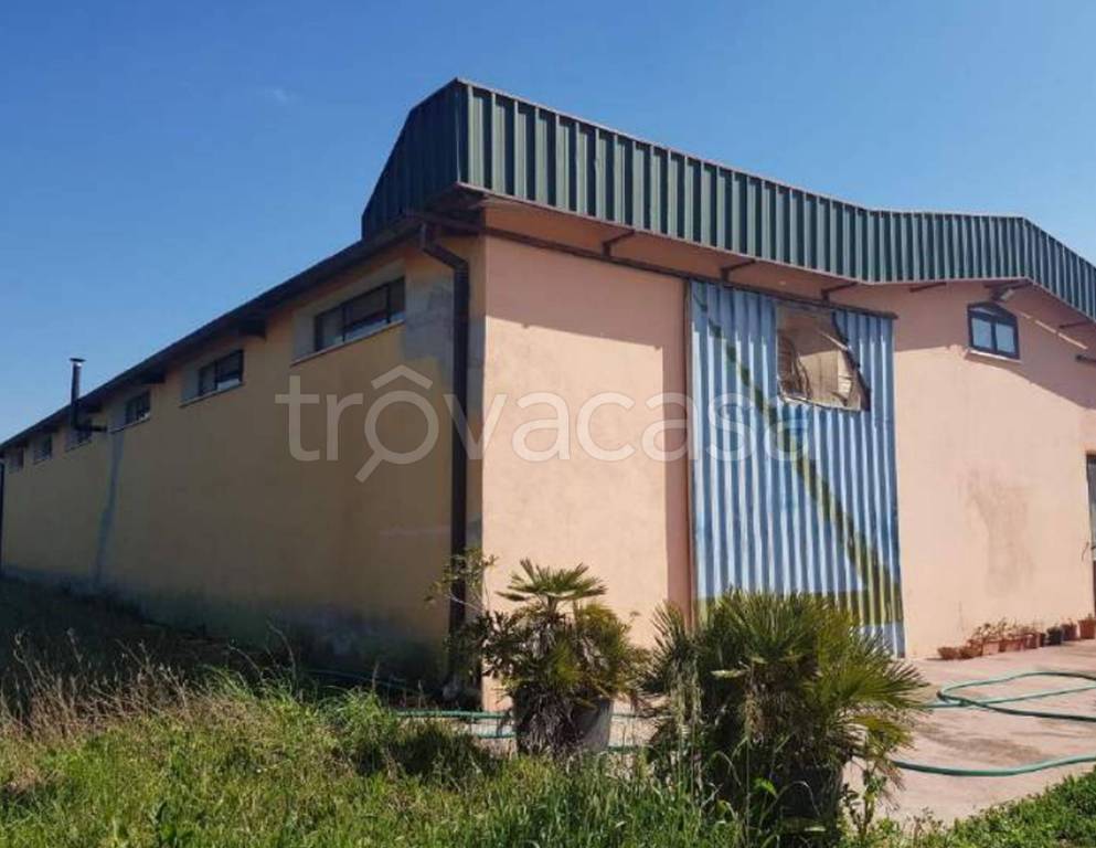 immagine annuncio 6 di 14