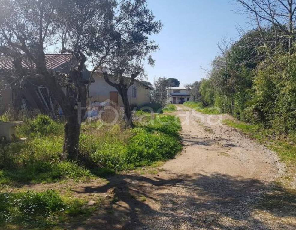 immagine annuncio 8 di 14