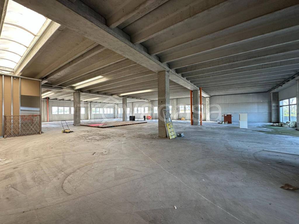 immagine annuncio 5 di 7