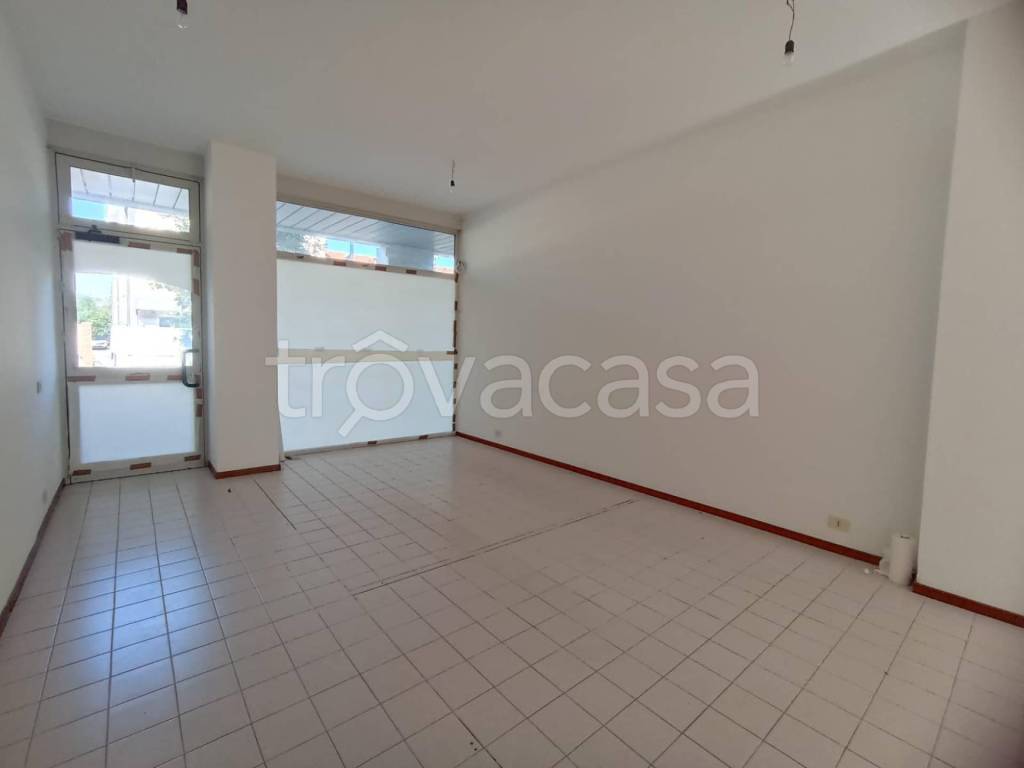 immagine annuncio 4 di 8