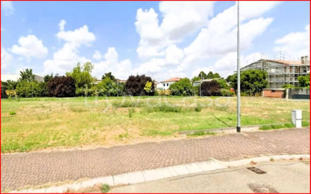 immagine annuncio 1 di 12