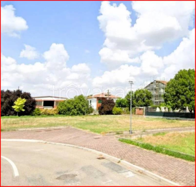 immagine annuncio 4 di 12