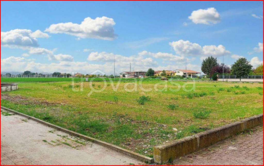 immagine annuncio 2 di 13