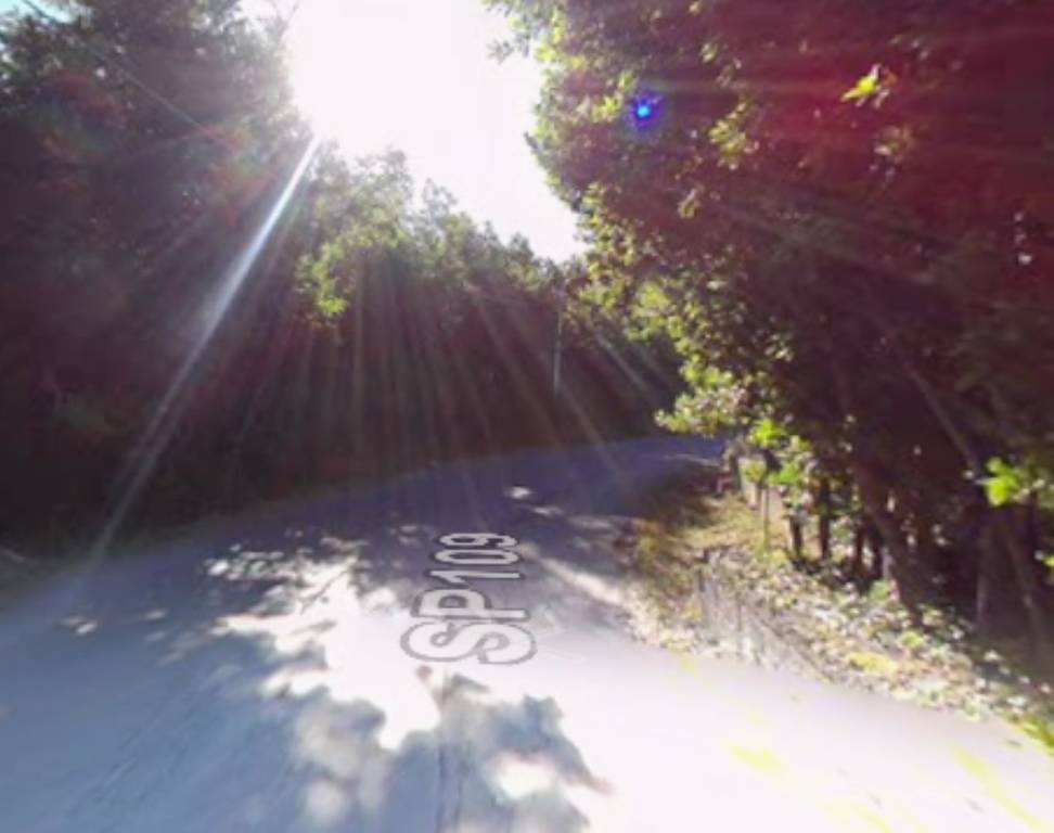 immagine annuncio 6 di 11