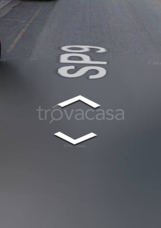 immagine annuncio 8 di 11