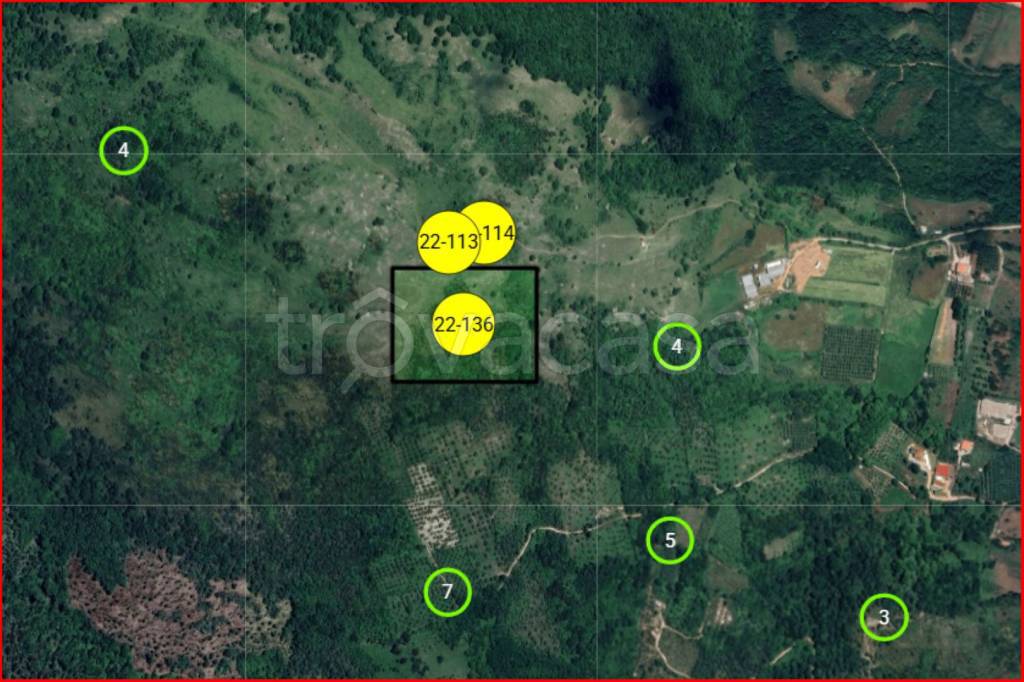 immagine annuncio 11 di 12