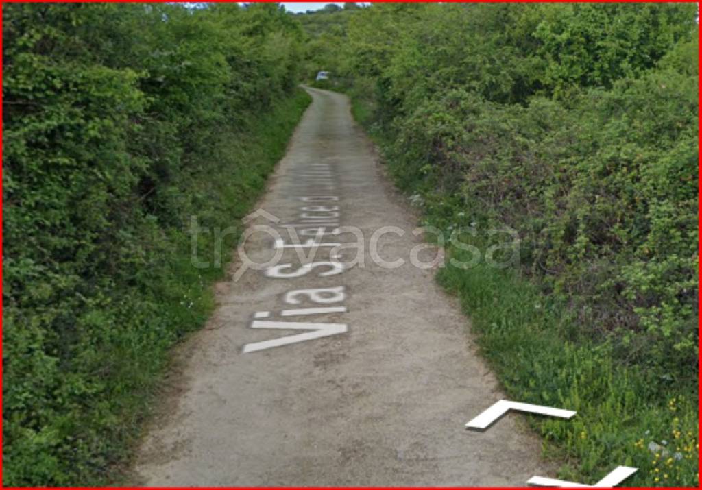 immagine annuncio 8 di 12