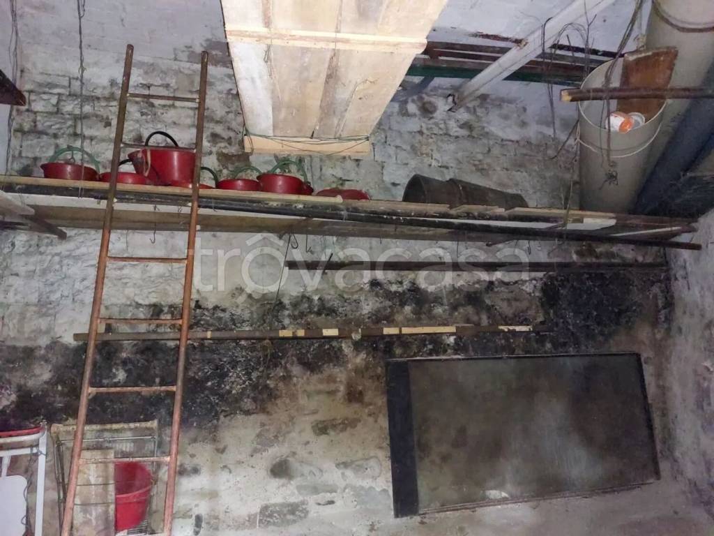 immagine annuncio 3 di 7