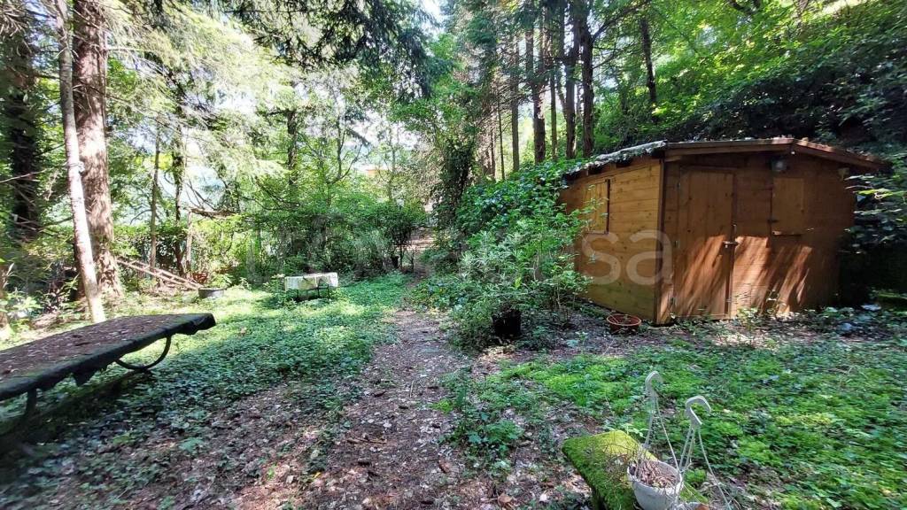 immagine annuncio 2 di 9