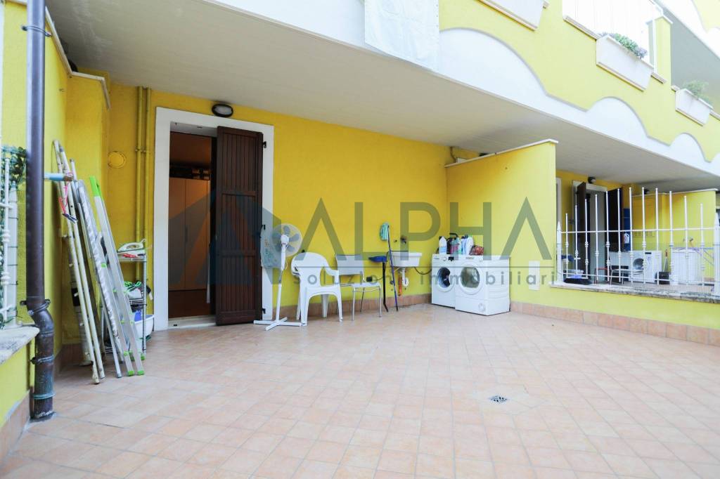 immagine annuncio 9 di 14