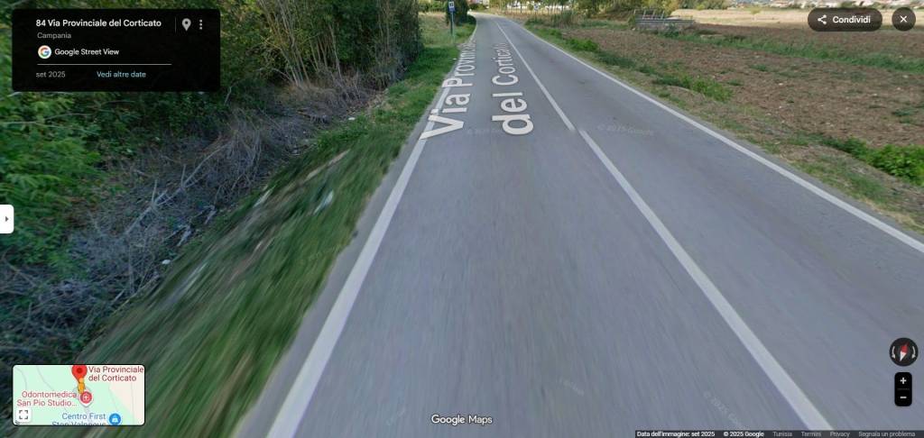 immagine annuncio 11 di 14