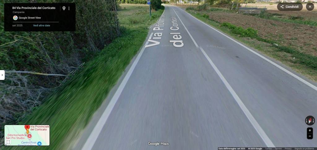 immagine annuncio 12 di 14