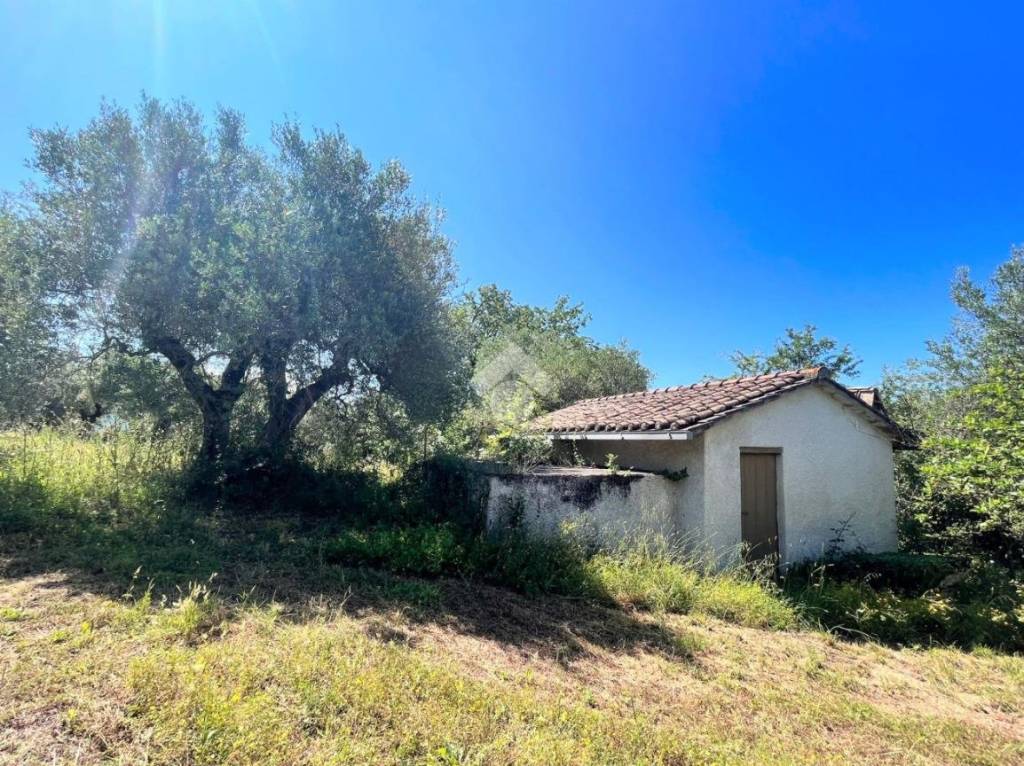 immagine annuncio 1 di 11