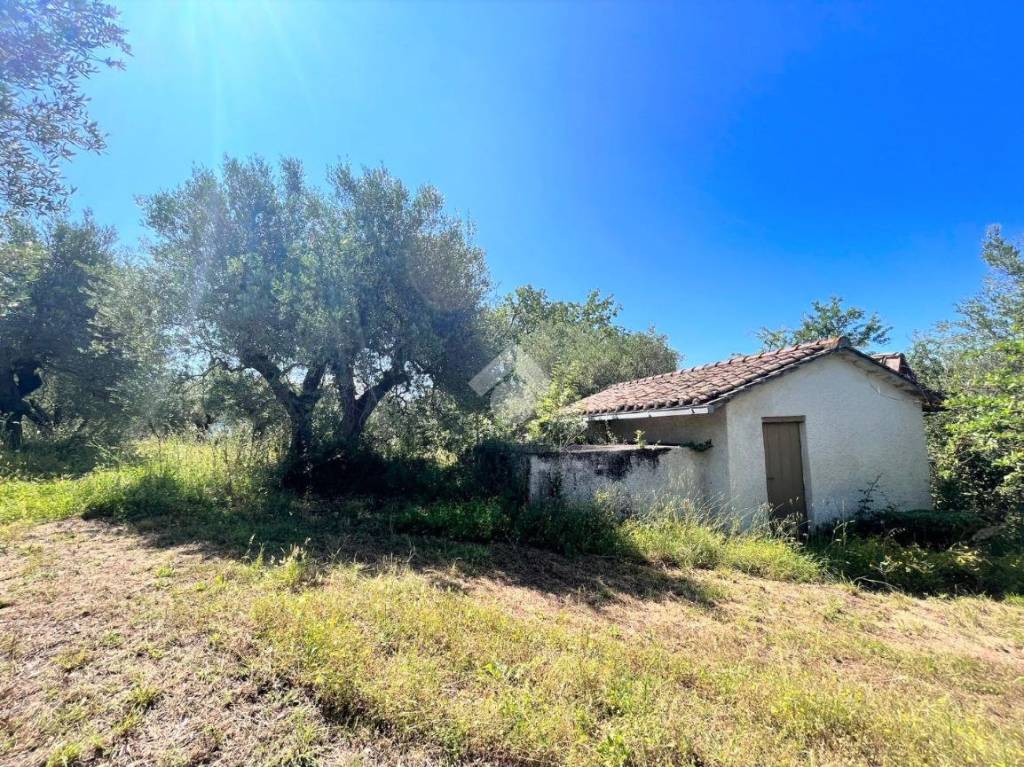 immagine annuncio 4 di 11