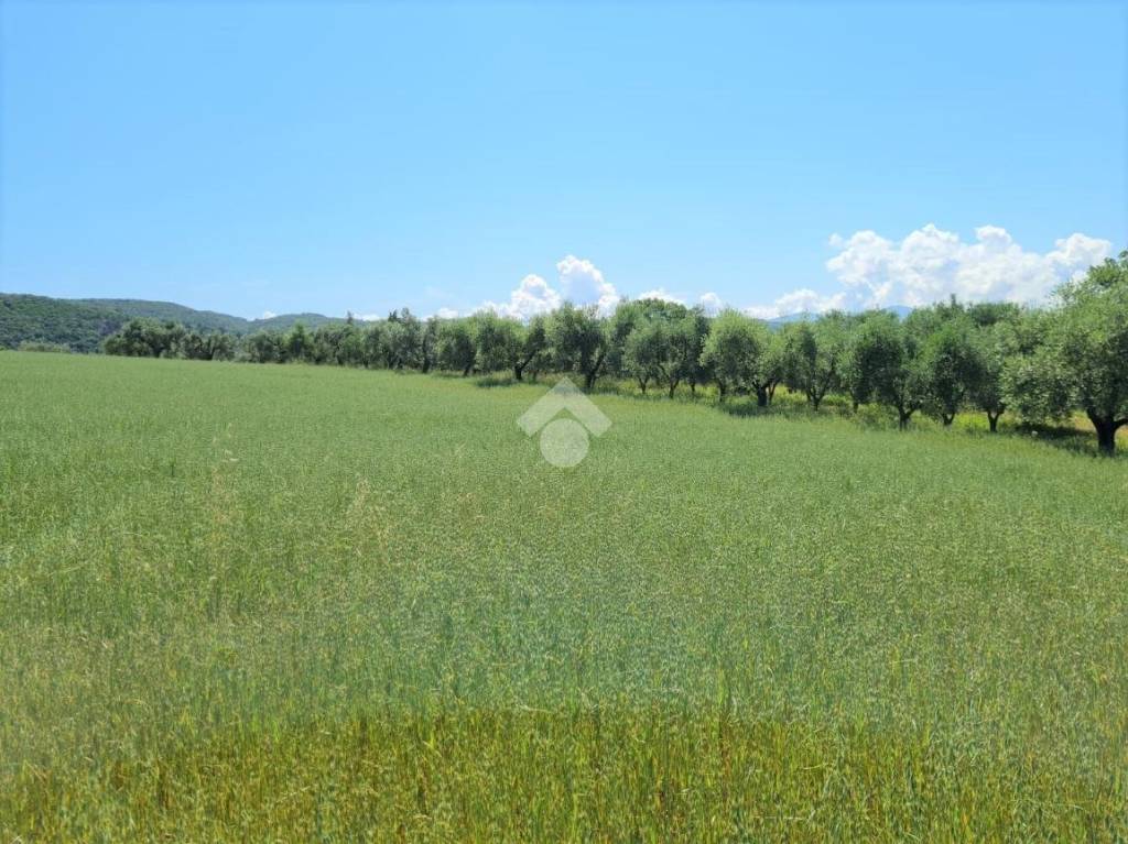 immagine annuncio 8 di 11