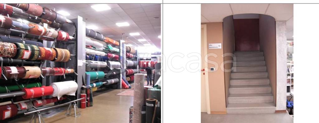 immagine annuncio 5 di 13