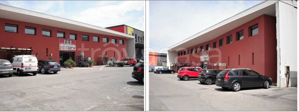 immagine annuncio 12 di 13