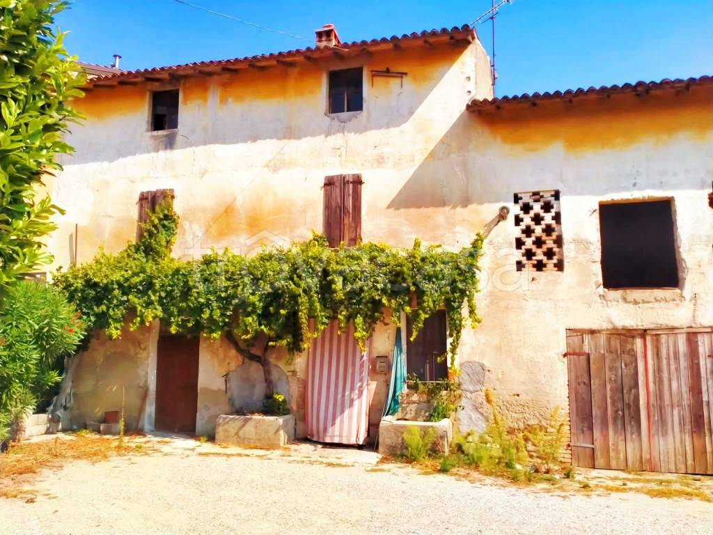 immagine annuncio 1 di 13