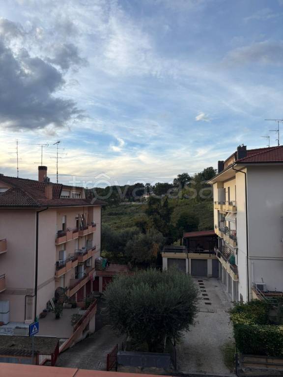 immagine annuncio 3 di 12