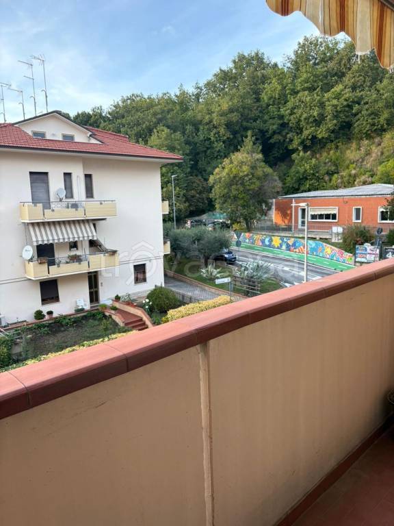 immagine annuncio 5 di 12