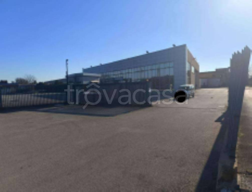 immagine annuncio 1 di 11