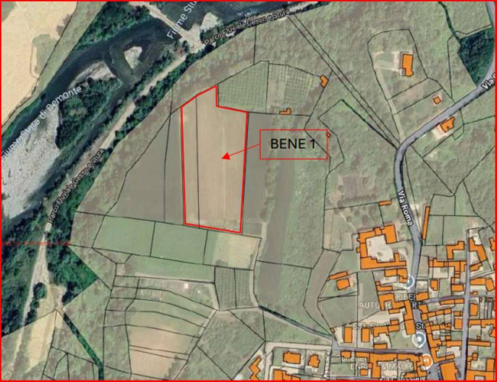 immagine annuncio 11 di 12