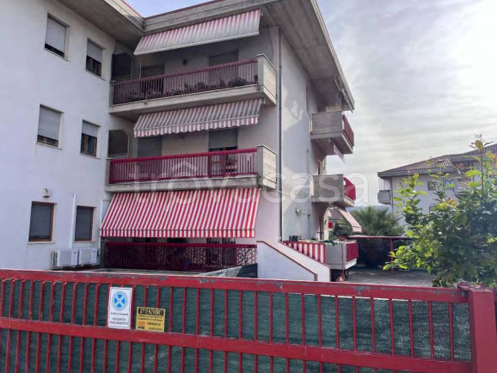 immagine annuncio 11 di 12