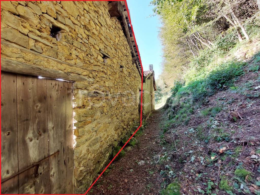 immagine annuncio 7 di 12