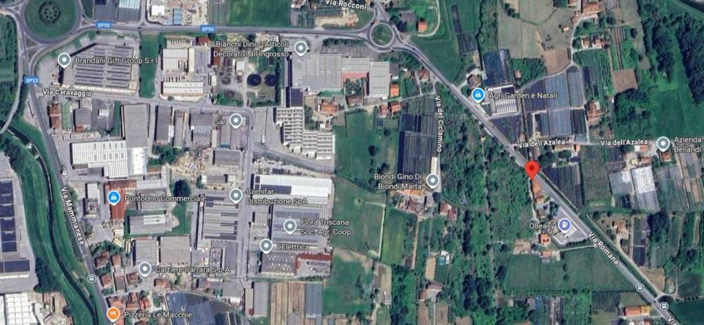 immagine annuncio 9 di 15