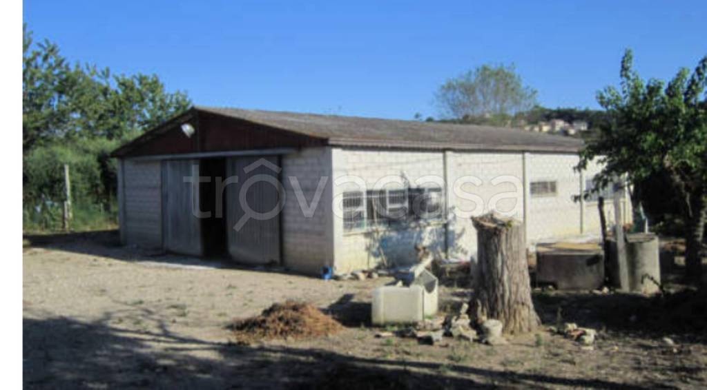 immagine annuncio 3 di 12