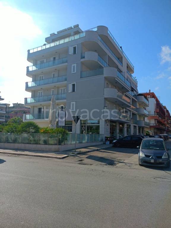 immagine annuncio 2 di 12