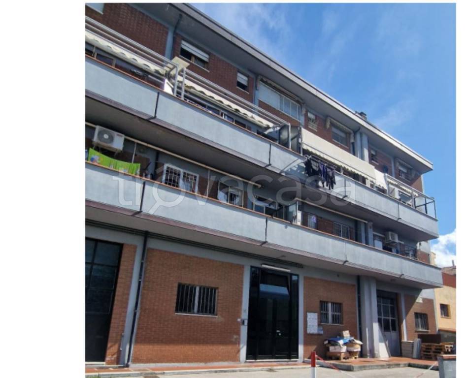 immagine annuncio 3 di 12