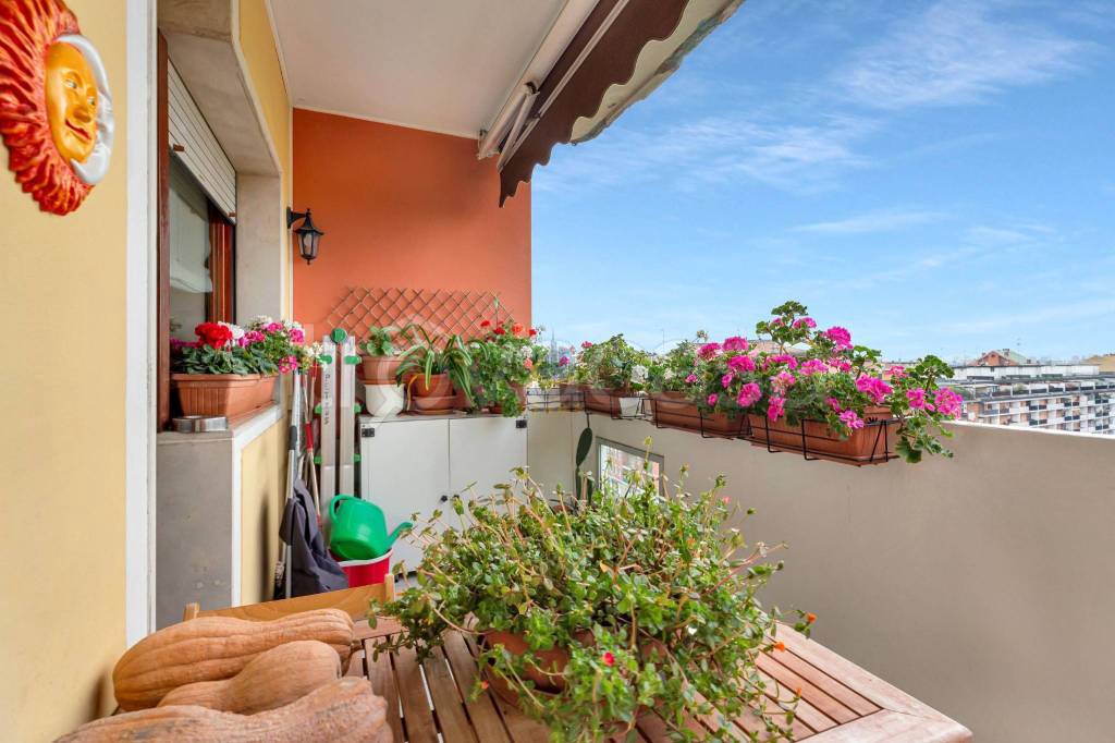 immagine annuncio 7 di 15