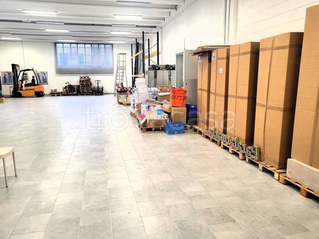 immagine annuncio 11 di 15