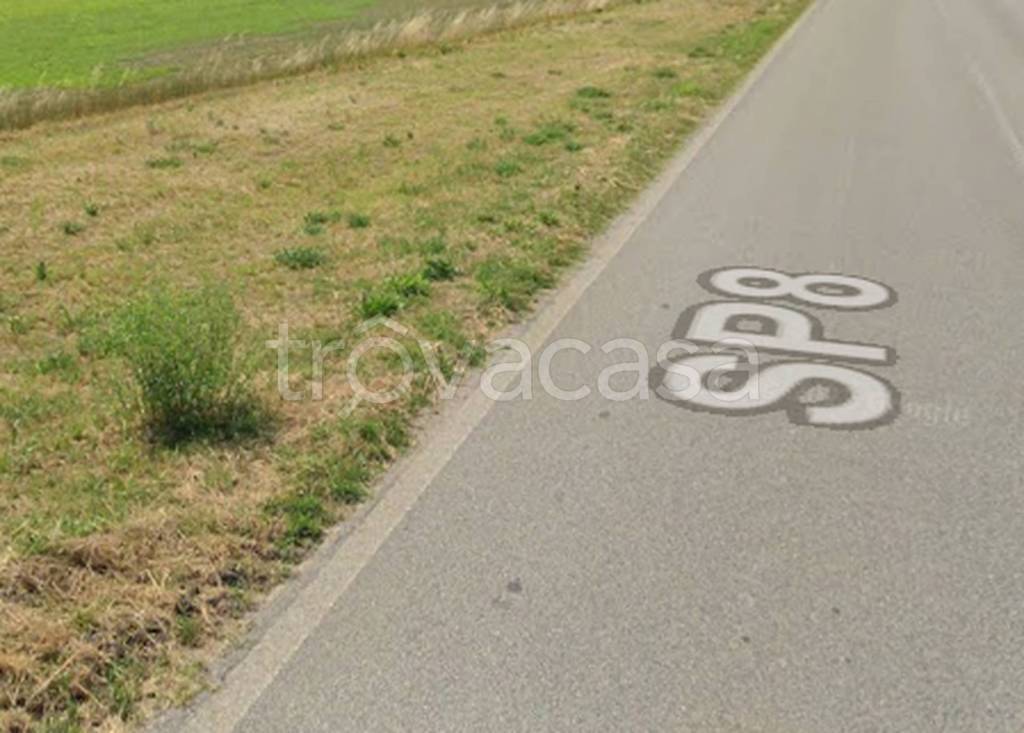 immagine annuncio 9 di 11