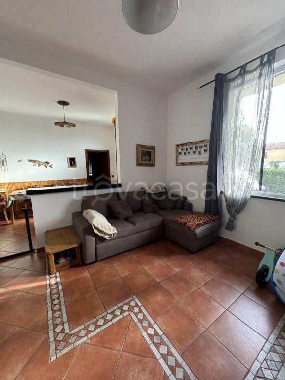 immagine annuncio 11 di 14