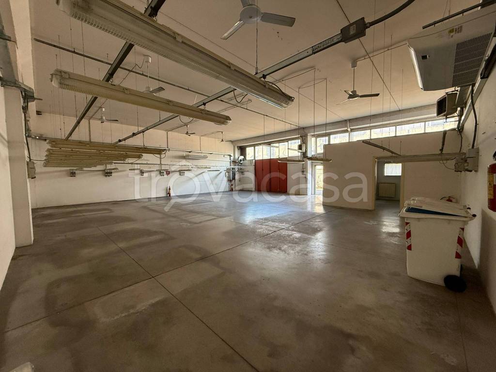 immagine annuncio 2 di 6